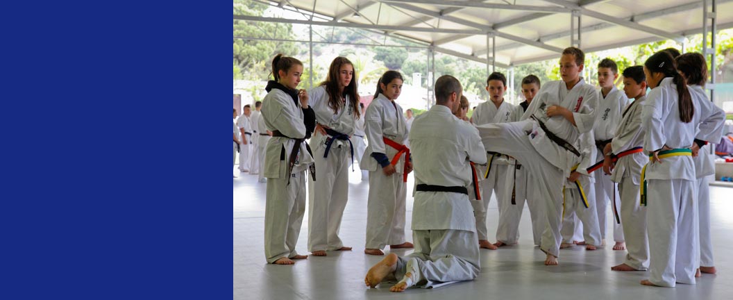 Tatami para judo, karate, taekwondo, aikido, jujitsu...